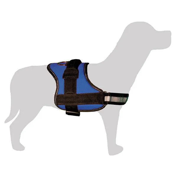 Arnés acolchado para perro