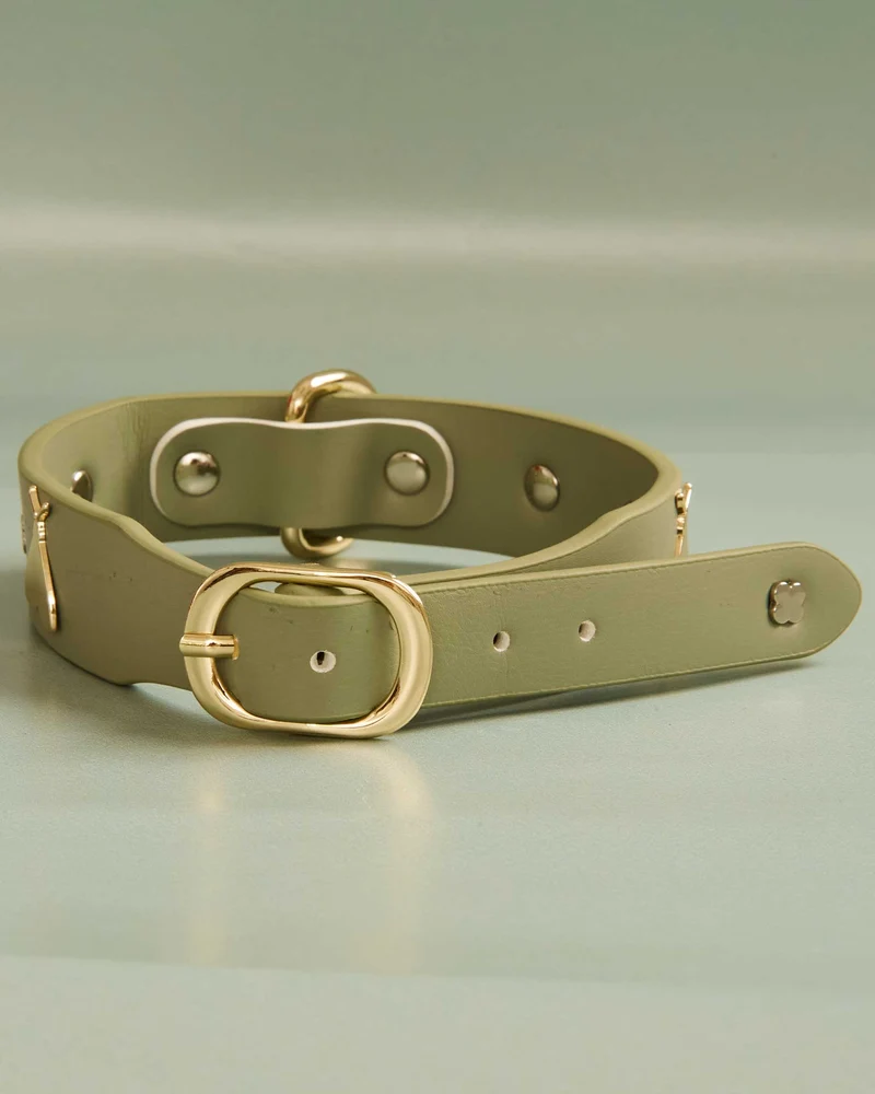 Collar Insectos Verde | S | M | L |