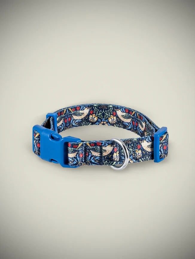 Collar Para Perro 'William Morris' - Grande 35-50 cm