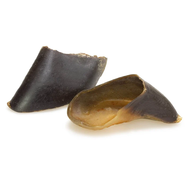 Pezuña de búfalo (840 g) - 24 unidades