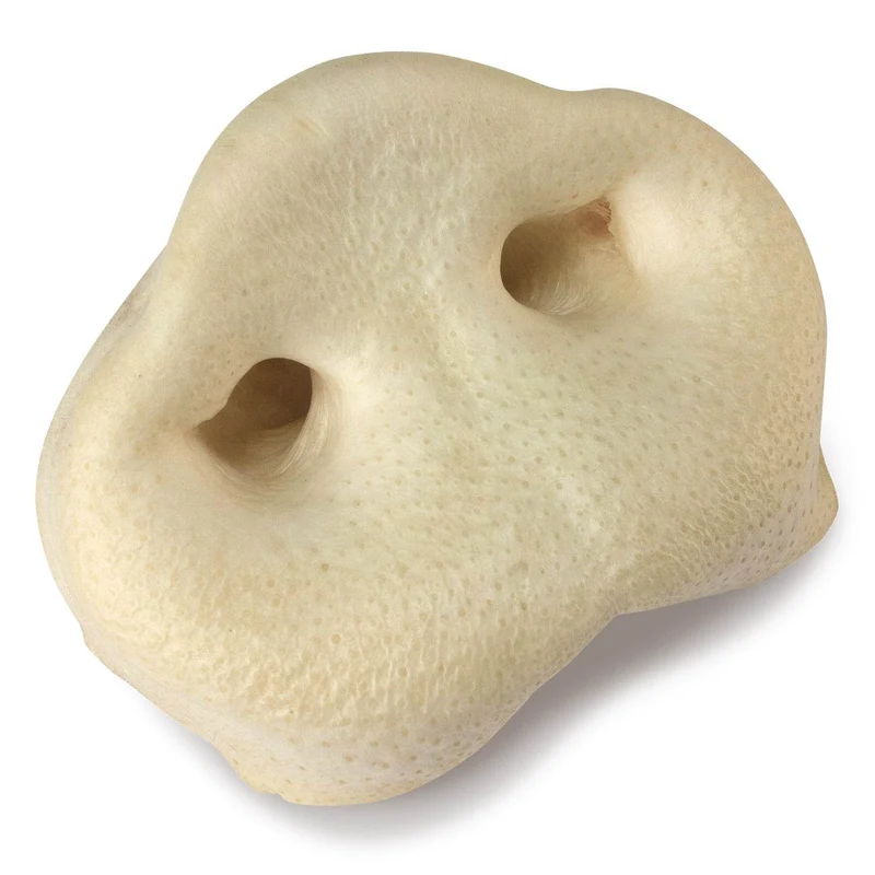 Morro de cerdo (bolsa de 20 unidades)