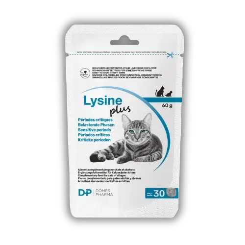 Lysine Plus 30 Snacks X 2gr