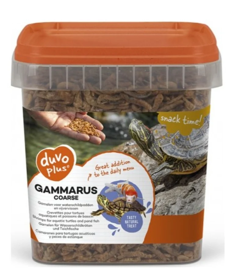Gammarus grande 2,5 L | Duvo+