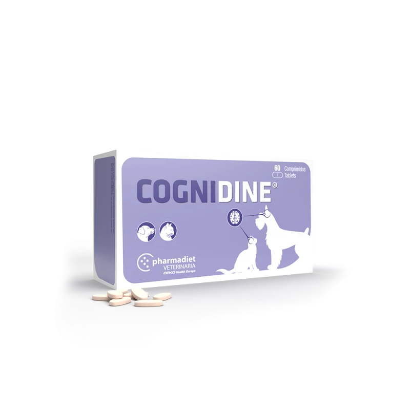 COGNIDINE 60 COMP
