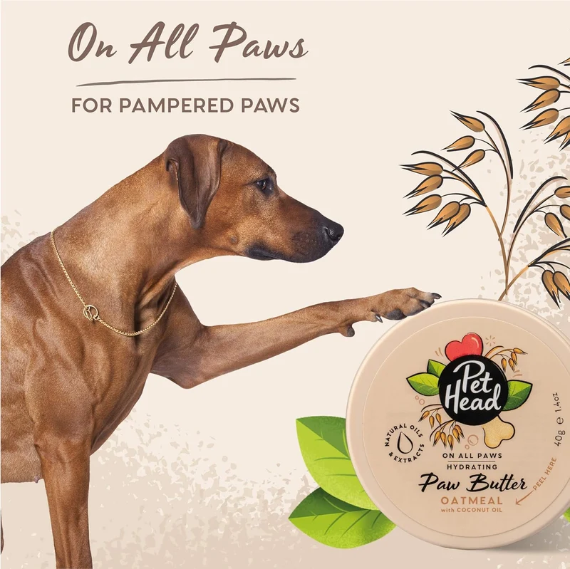 Pet Head Crema de nutrición para almohadillas On all Paws Sensitive 40 gr (1.04 oz)