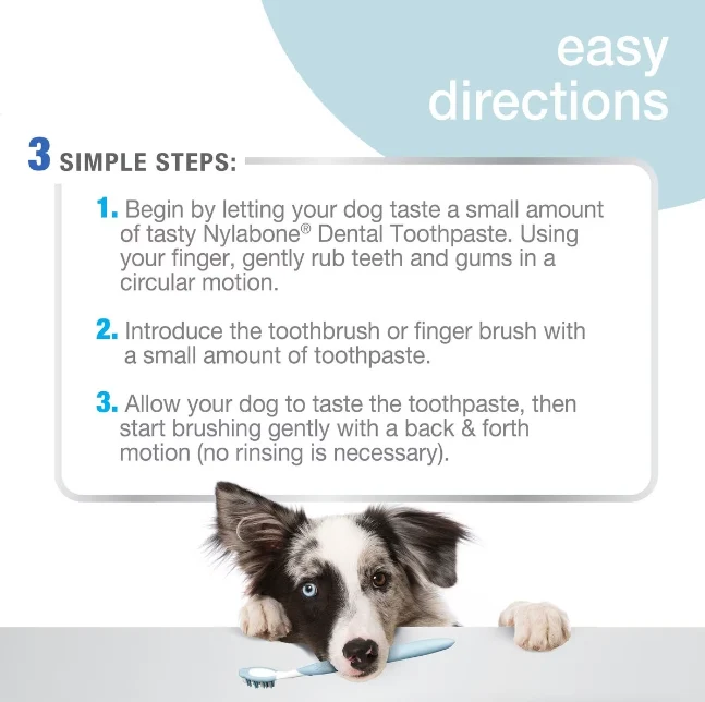 Nylabone Advanced Oral Care Kit Dental para Cachorro con Dedal