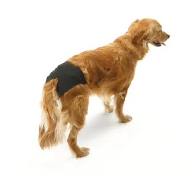 Savic Doggli Slip Braguitas T.3 38-48 cm