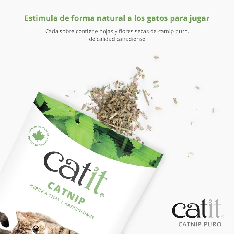 Hierba gatera Catnip en bolsa 14 g Catit