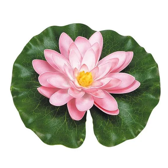 Nenufar rosa con gotas