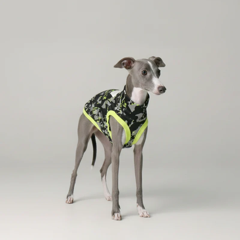 T-Shirt Pour Lévrier Italien Et Whippet Respirant Anti UV