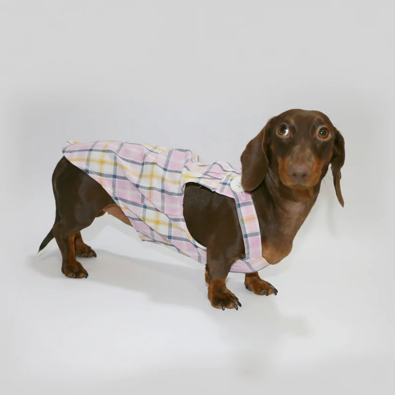 Combinaison Été Léger Pour Chien Teckel
