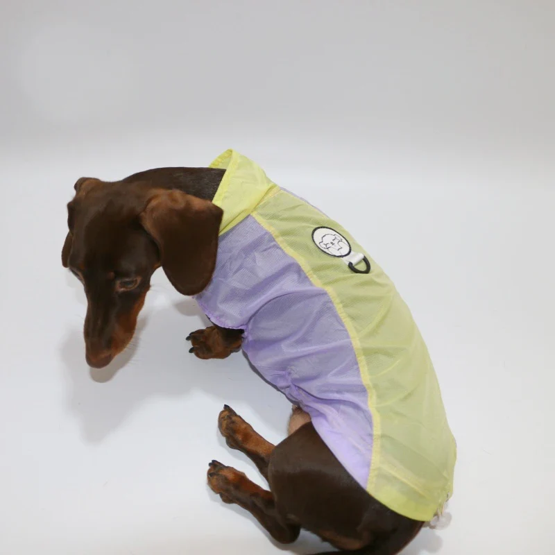 T-Shirt Rafraîchissant Pour Chien Teckel