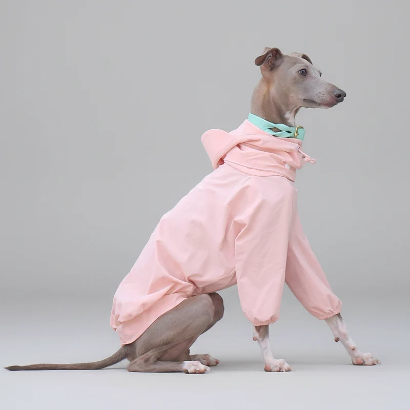 Imperméable Pour Whippet, Lévrier Italien Avec Capuche