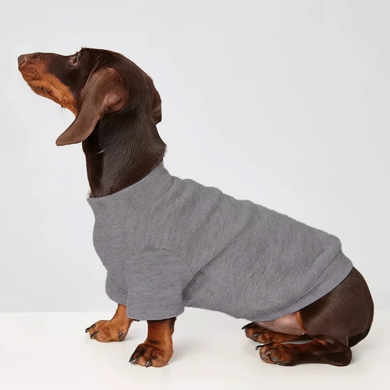 T-shirt Elégant Idéal Pour Chien Teckel