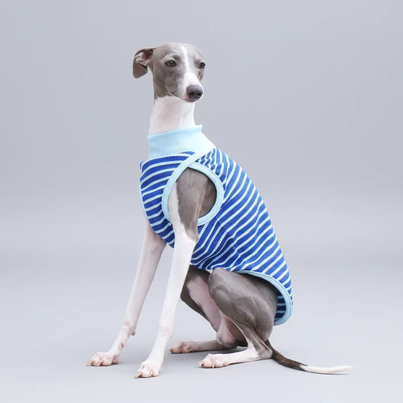 T-Shirt Sans Manche Pour Chien Whippet Et Lévrier