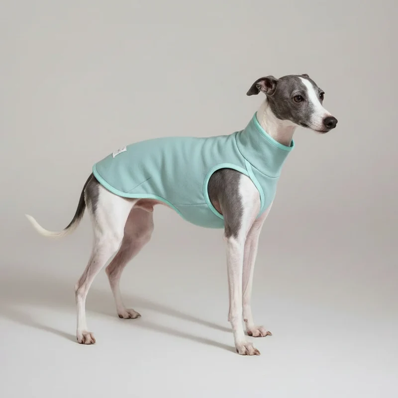 Pull Élégant Pour Lévrier Italien Et Whippet Chaud - Les Bonnes Affaires