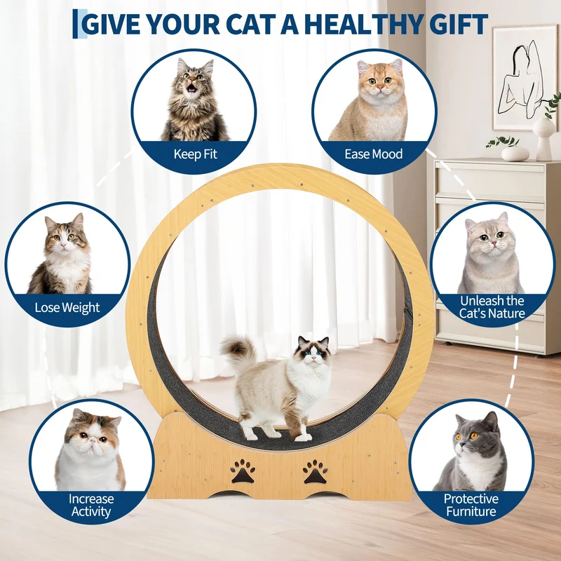 Garvee Rueda de Ejercicio Extragrande para Gatos y Pequeños Animales Panel Sólido Resistente y Silenciosa para Fitness y Juego 110cm Marrón Óxido