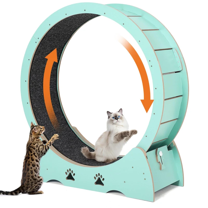 Garvee Laufrad Katze XXL 100 cm - Metal & Alfombra de Lana Antideslizante - Seguro con Cierre Rápido para Gatos Activos y Razas Grandes - Silencioso y Estable