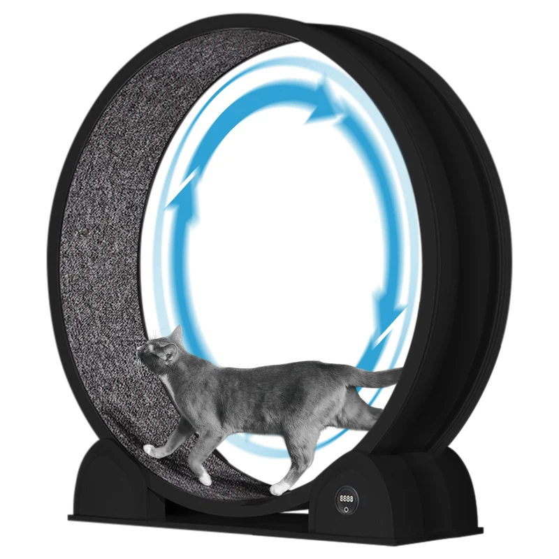 Garvee Rueda de Ejercicio para Gatos de Interior con 114 cm de Diámetro y Podómetro Digital, ABS Silenciosa y Multifuncional, Negro