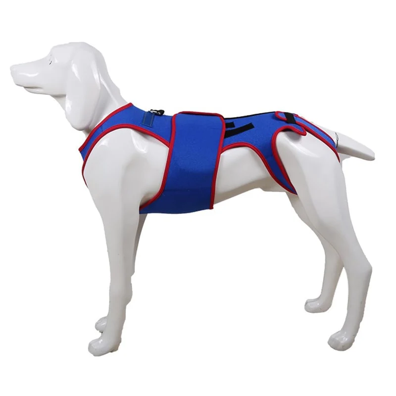 Garvee Vendaje Lumbar para Perros, Ajustable, Talla XL 48cm, Azul, Soporte Ortopédico para Artritis e IVDD, para Uso Diario