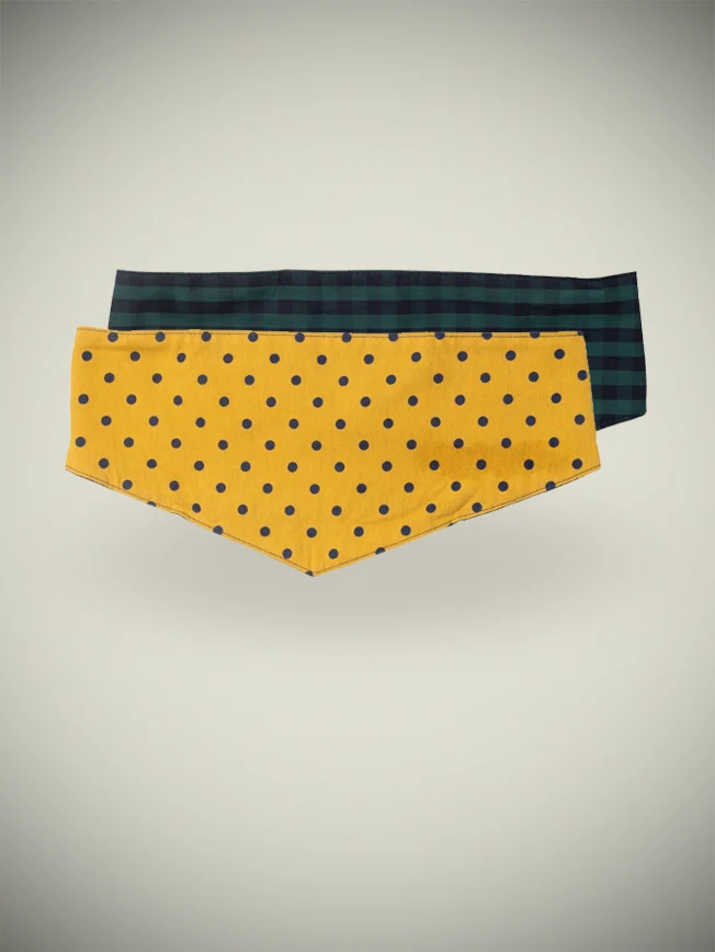 Bandana Para Perro 'Checked'