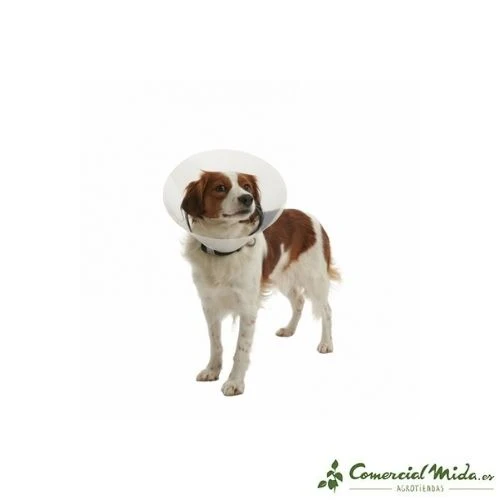 Collar Isabelino Transparente KRUUSE Buster Clic para Perros