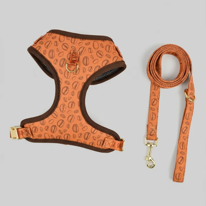 Ensemble Harnais Et Laisse Pour Chien