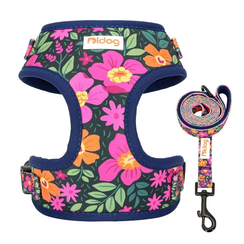 Ensemble harnais et laisse à motif pour chien