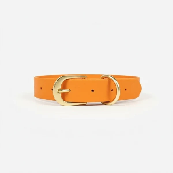 Collier Imperméable Pour Chien Design Et Résistant