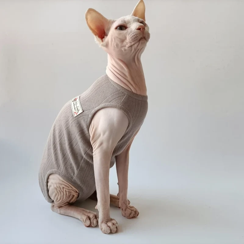 T-Shirt Eté Pour Chat Sphynx En Coton