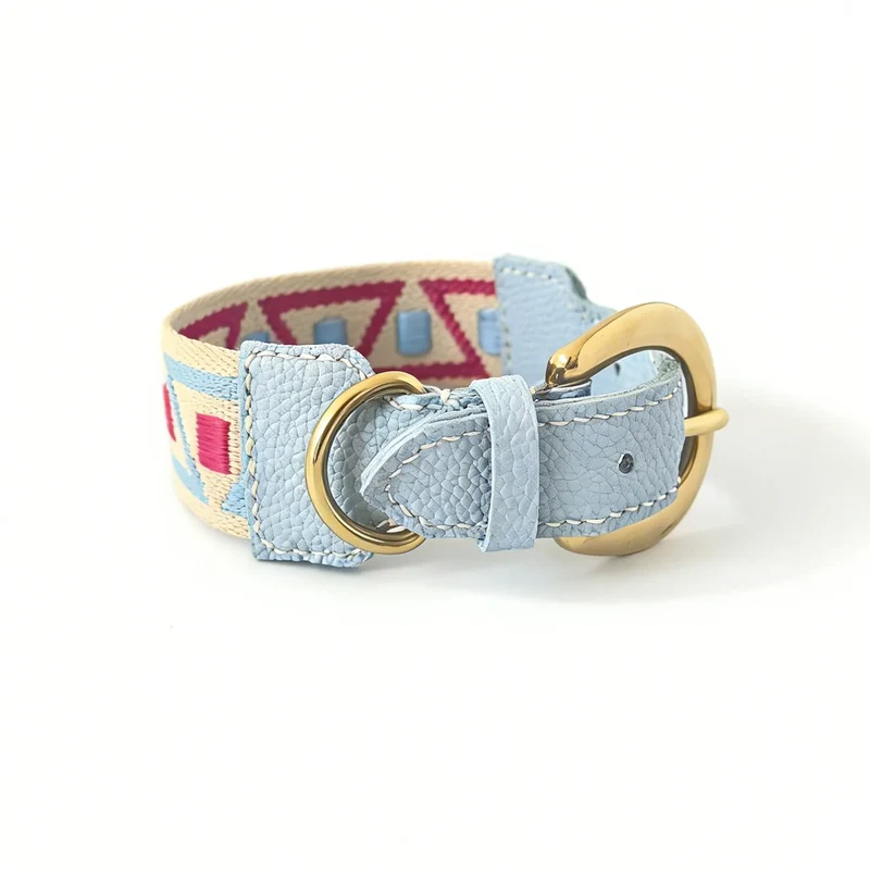 Collier Et Laisse Pour Chien En Cuir Véritable Style Bohème