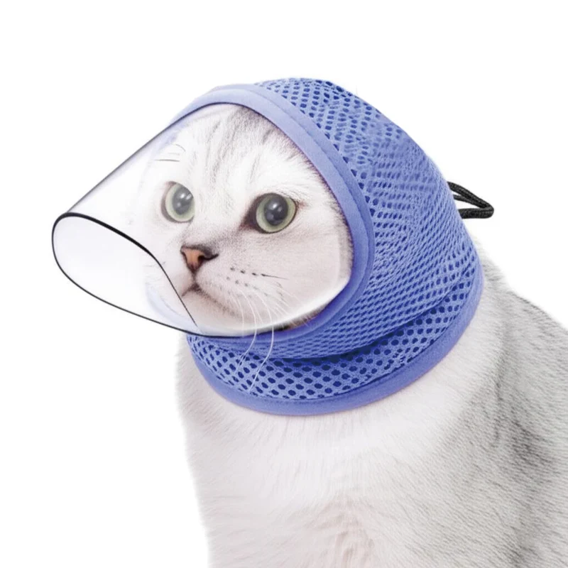 Collerette Pour Chat Anti Léchage Pratique