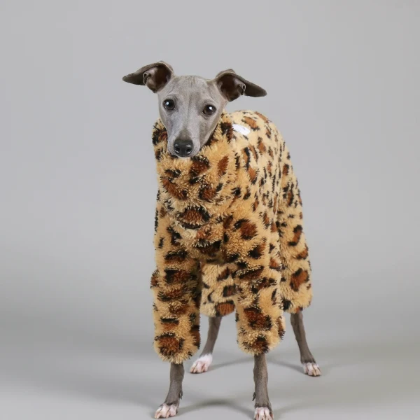 Pull Polaire Léopard Pour Whippet Lévrier