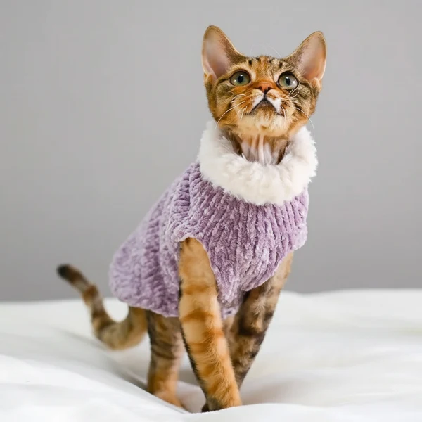 Pull Col Roulé Confortable Pour Chat