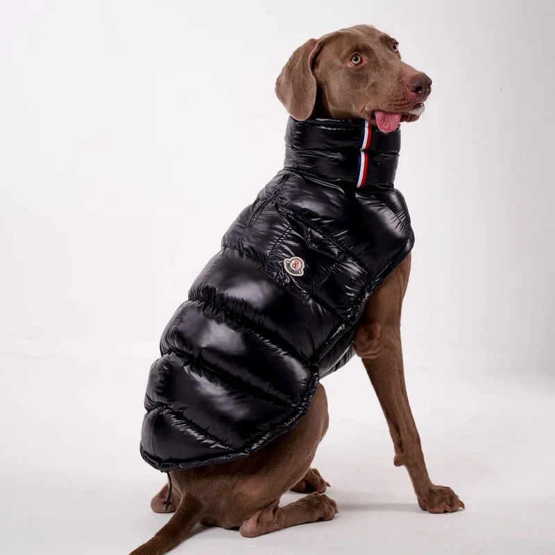 Doudoune Pour Chien À Capuche Doublée Polaire - Les Bonnes Affaires