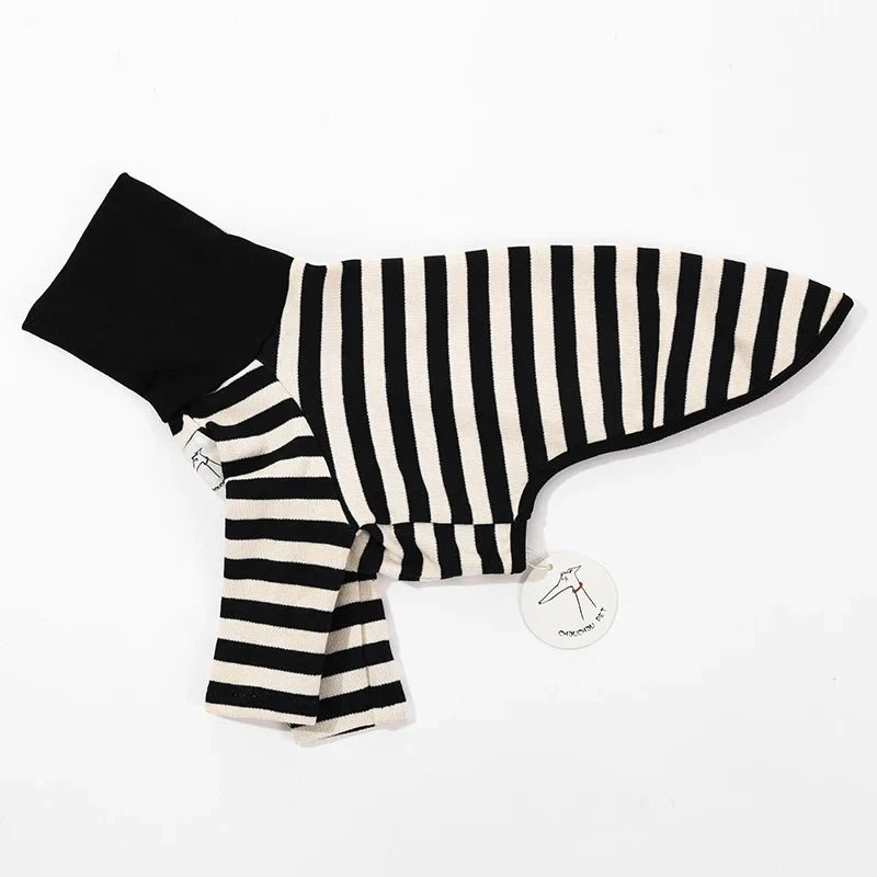 Pull Rayé Confort Et Design Pour Lévrier