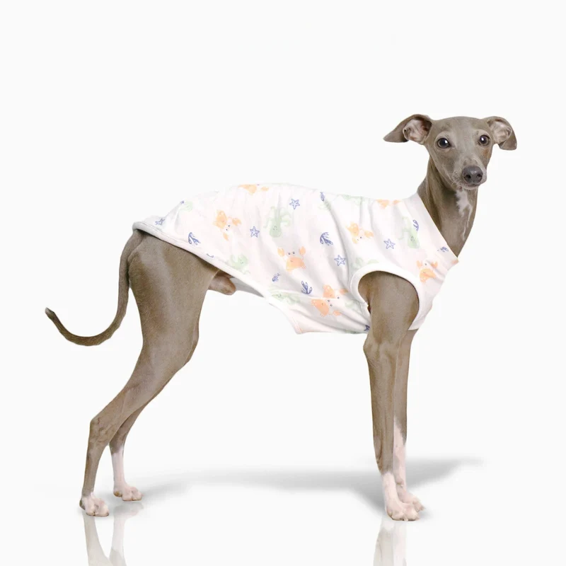 T-shirt Doux Pour Lévrier Et Whippet