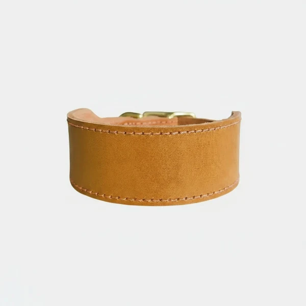 Collier Large Pour Chien En Cuir Qualité