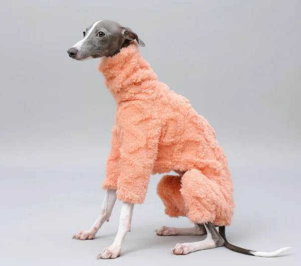 Pull Col Roulé En Polaire Pour Lévrier Et Whippet