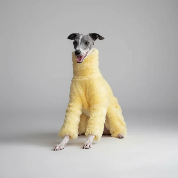 Pull Doux Confortable Pour Lévrier Et Whippet