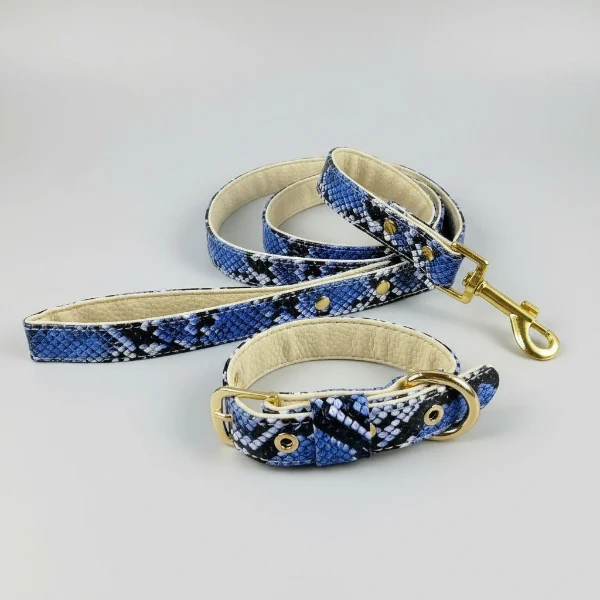 Ensemble collier laisse chic serpent