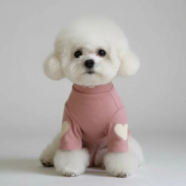 Pull Pour Petit Chien Doux Et Elégant