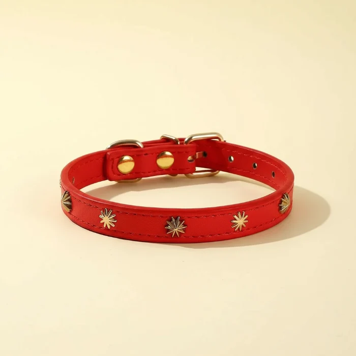 Collier Design Avec Rivets Pour Chat