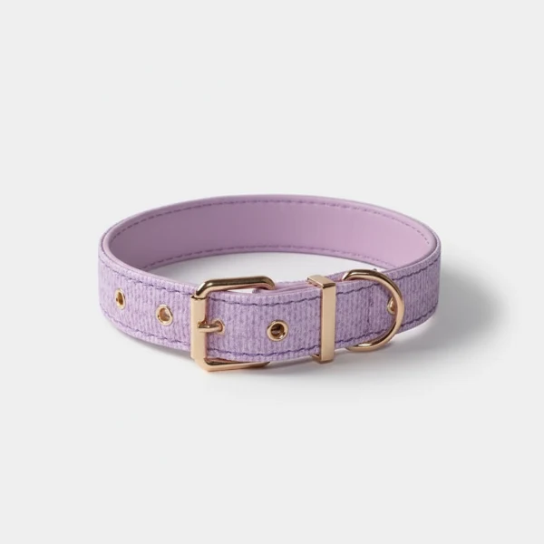 Collier Couture Chien Résistant Et Design