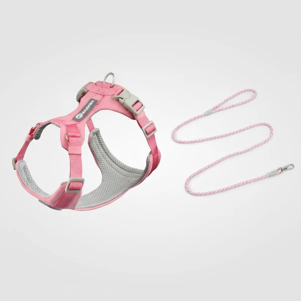 Ensemble Harnais Et Laisse Pour Chien