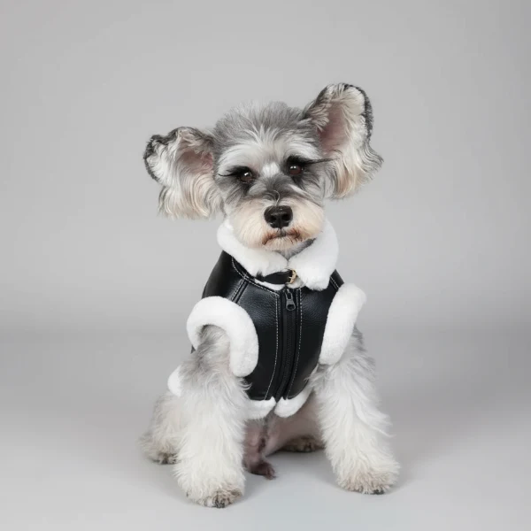 Manteau Simili Cuir Et Doublé Fausse Fourrure Pour Chien