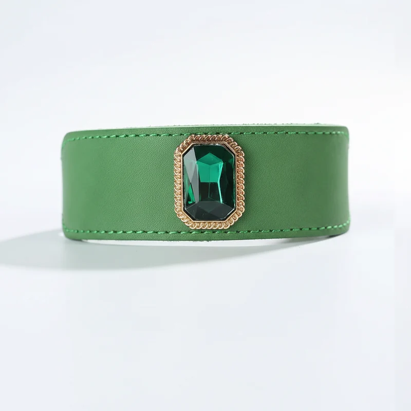 Colliers De Luxe En Cuir Pour Chien