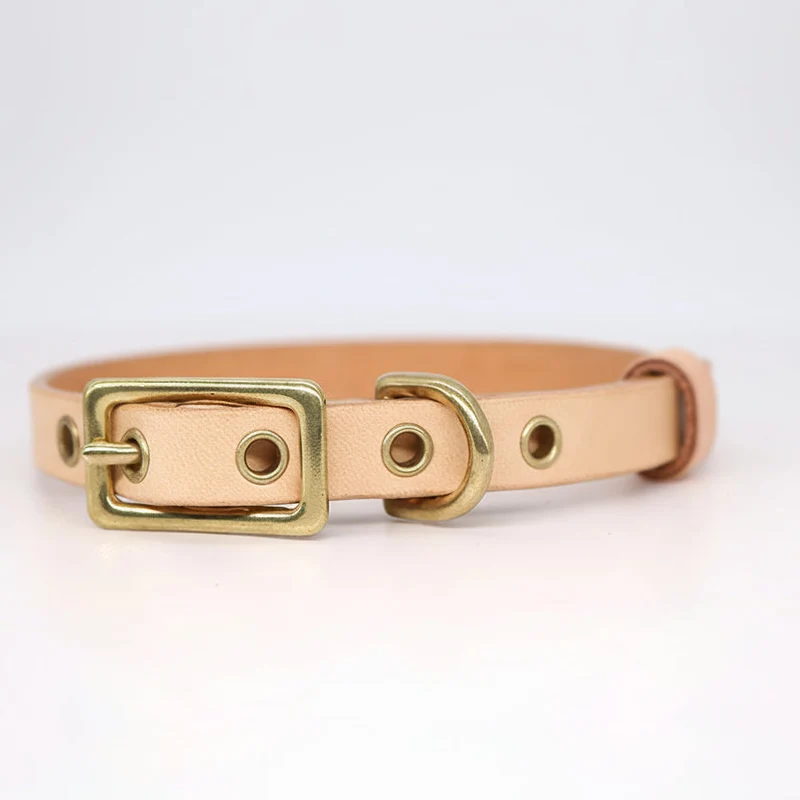 Collier Pour Chien En Cuir Véritable Personnalisable