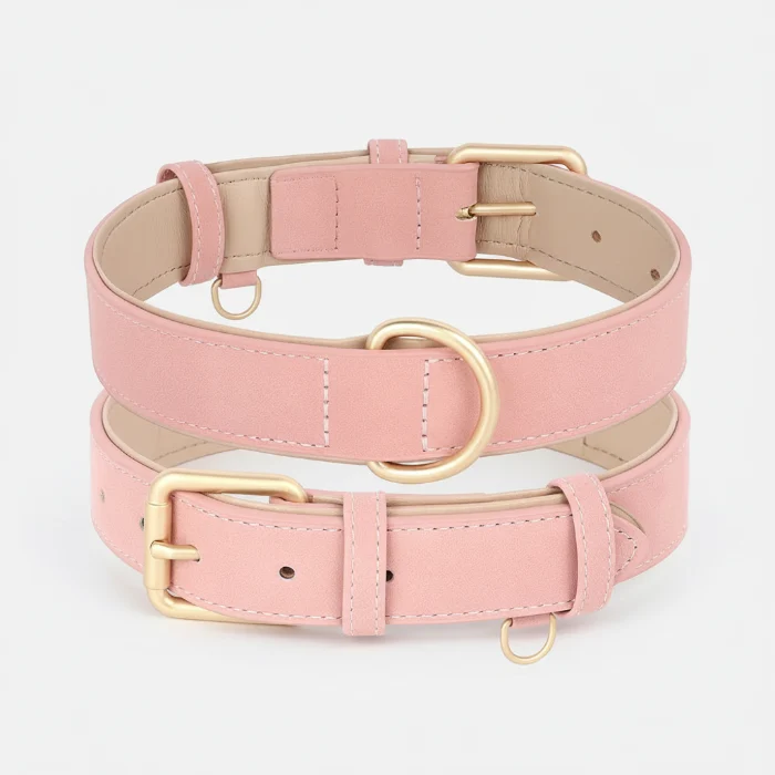 Laisse Et Collier Doux Rembourré Pour Chien