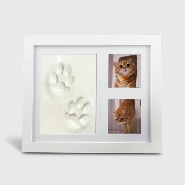 Kit Cadre Photos Et Empreintes Chien Et Chat